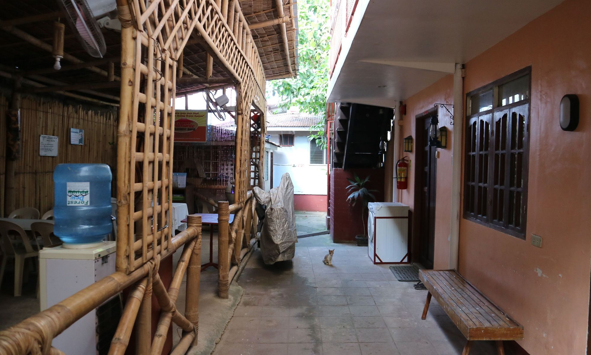 Auberge de jeunesse Almonte Transient House à Puerto Princesa Extérieur photo
